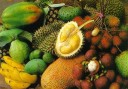 Tropisches Obst